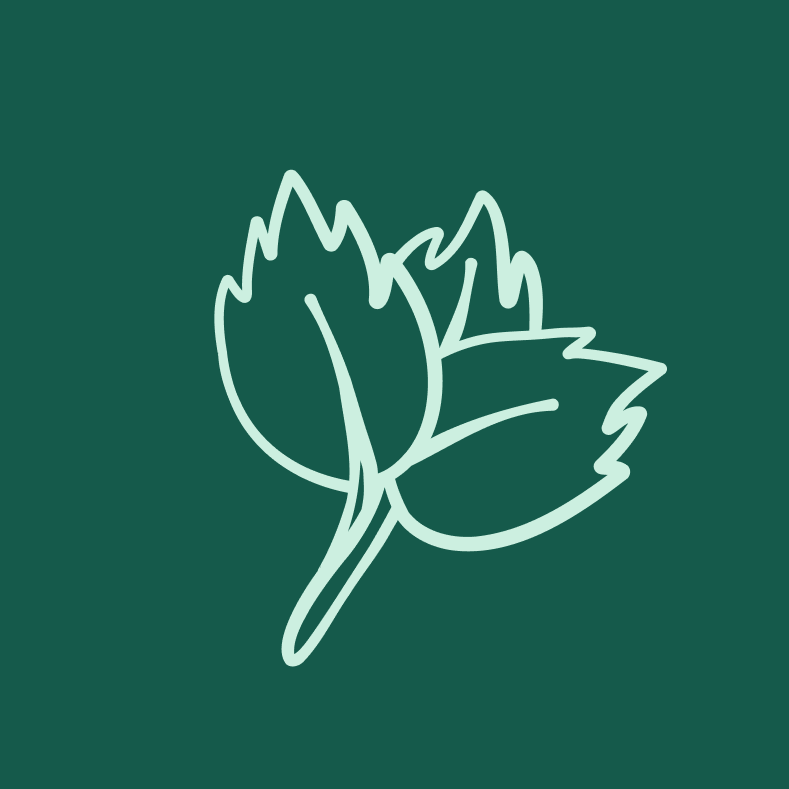 The page of a sketchbook with sketches of cards.